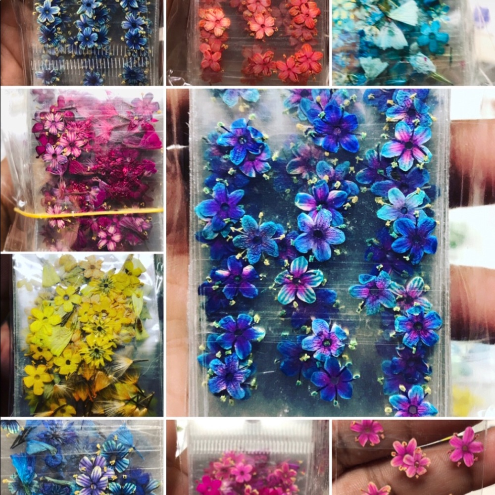 COPY - 240 dried flower for nails